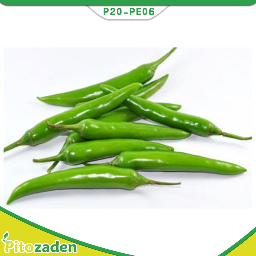 Hot Pepper — P20-PE06
