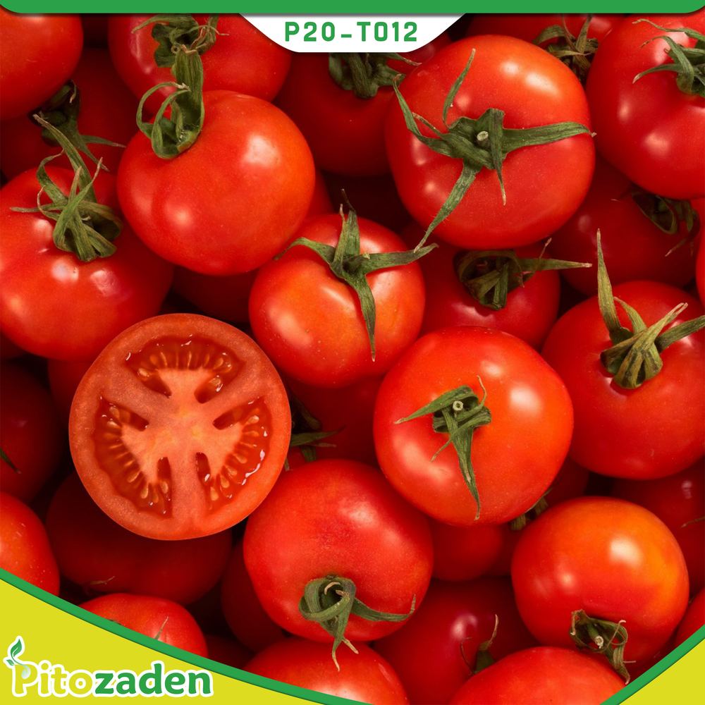 Det. Tomato Fresh Market — P20-TO12